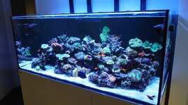 DSC_1957.JPG
