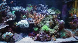 DSC_2516.JPG