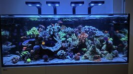 DSC_3170.JPG