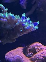 IMG_7658.jpeg IMG_7658.jpeg