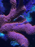 IMG_7657.jpeg