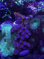 IMG_7655.jpeg