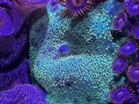 IMG_7624.jpeg
