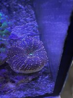 IMG_7057.jpeg