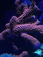 IMG_7040.jpeg