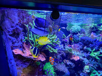 IMG_6759.jpeg