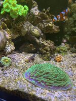 IMG_7952.jpg