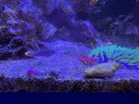 IMG_7585.jpg