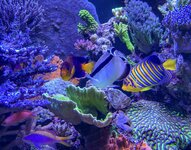 IMG_6776.jpeg