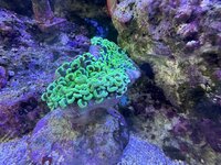 IMG_5412.jpeg IMG_5412.jpeg