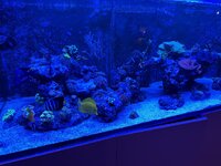 IMG_5415.jpeg IMG_5415.jpeg