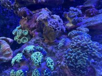 IMG_5426.jpeg IMG_5426.jpeg
