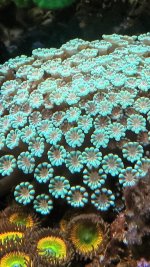 20240218_175630.jpg 20240218_175630.jpg