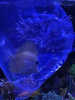 IMG_2746.jpeg IMG_2746.jpeg