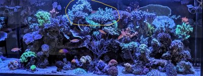 PXL_20240121_084726997~4.jpg