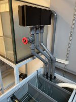 IMG_2754.jpeg