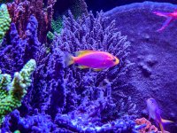 IMG_6852.jpeg