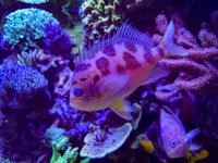 IMG_6851.jpeg