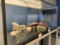 IMG_2760.jpeg