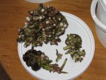 Foto 180.jpg