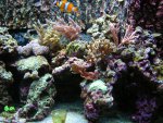 DSCN9225.jpg