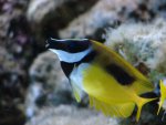 DSC00343.JPG