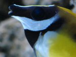 DSC00344.JPG