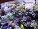 zeeaquarium 182.jpg