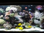 aqaurium 003.jpg