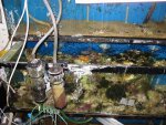 aqaurium 005.jpg