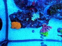 20240225_002815.jpg