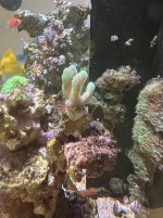 IMG_8140.jpg