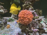 IMG_8164.jpg