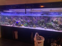 IMG_8579.jpeg