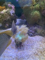 IMG_8613.jpeg