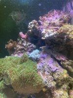 IMG_8614.jpeg