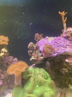 IMG_8617.jpeg