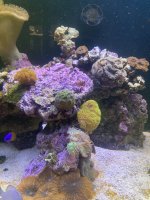 IMG_8618.jpeg