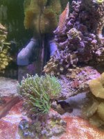 IMG_8619.jpeg