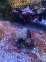 IMG_8620.jpeg