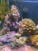 IMG_8621.jpeg