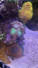 E1375E66-D785-450B-876D-E3D01A359DFC.jpeg