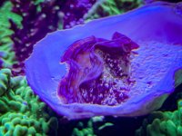 IMG_6893.jpeg