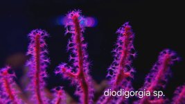 20240301_020523.jpg