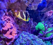 IMG_6907_jpg.jpeg
