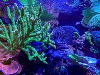 IMG_6908.jpeg