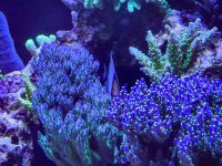 IMG_6915.jpeg