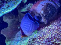 IMG_6918.jpeg