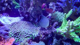 IMG_6922_jpg.jpeg