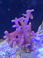 IMG_7018.jpg